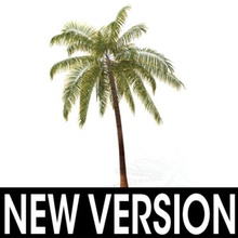 3d albero di palma 3 noce cocco d e modello la pianta tropicale 3d print model - Mito3D