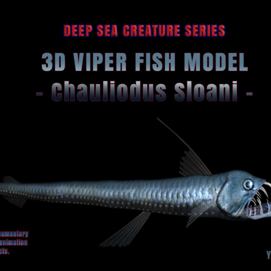 3d viper peixe modelo realista - chauliodus sloani animais animação o personagem criaturas profunda documentários monstro mustafavangol oceano do mar sharp stomiidae os dentes água 3D print model - Mito3D