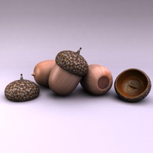 acorn cartoon food fruit garden makeionesco model nut oak plant realistic squirrel tree winter 3d print model - Mito3D