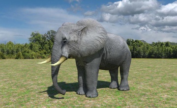 elefante africano low poly africa africana africanos animale animata frullatore più in basso lowpoly mako san mammifero modello poli savana unità lo zoo 3d print model - Mito3D