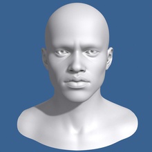 Afrikalı erkek kafası 3d Görünümüdür Afrika anatomi siyah vücut c4d karakter kulak göz yüz fbx sakız çocuklar baş insan lwo adam deniz max maya mod model burun poligonal gerçekçi öğreticiler windtrees hızıyla 3d print model - Mito3D