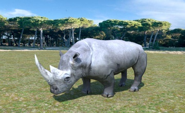 rhinocéros africain de l'afrique - africaine des etudes africaines animais animal blender jeu bas lowpoly mako san modèle poly rhino rinoceronte safari savana la savane savannah l'unité 3d print model - Mito3D