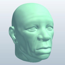 africanmaleelder v3 african male elder people printable lowpoly 3d print model - Mito3D