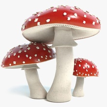 amanita champignons abramsdesign la pac de forêt les jeu magie modèle nature organique droits d'obtenteur l'usine toxiques prêt réel rouge petite spore tabouret temps crapaud toadstool 3d print model - Mito3D