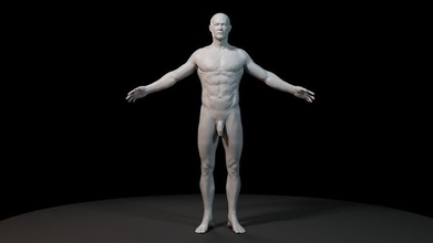 anatomy model 3d alex roe body character full guys human male man max maya medic muscle obj render study zbrush 3d print model - Mito3D