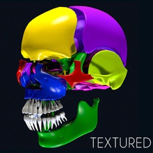 l'anatomie du crâne de la couleur des pièces 3dsmax précis corps os caractère le tête l'homme à mandibule max modèle obj en plastique réaliste scientifique squelettique dents unjosnav femme 3d print model - Mito3D