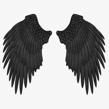 angel wings black 3dror 3ds accessory anatomy animal bird clothes costumes default fbx feather fly food halloween max model plant realistic scanline vray wing 3d print model - Mito3D