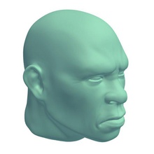 angry facial expression v2 people printable lowpoly 3d print model - Mito3D