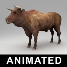animierte bull Tier Rindfleisch Rindern Vieh Kuh farm horn kvakling lowpoly säugetier Fleisch Modell ox rig zu Fuß 3d print model - Mito3D