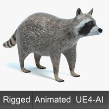 animated game raccoon abramsdesign ai animal animation coon forest lower mammal model pest poly racoon ready real rig rodent time ue4 wild wildlife wood 3d print model - Mito3D