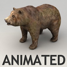 animated lowpoly grizzly bear animal animation beast brown character creatures game kvakling mammal model monster rig roar walking wild 3d print model - Mito3D