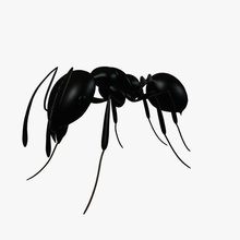 ant v1 insects printable lowpoly 3d print model - Mito3D