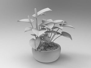 anthurium pianta impianti 3d print model - Mito3D