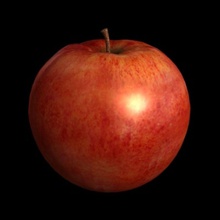 apple apfel appleseed çekirdek lezzetli gıda meyve gallerie1 altın büyükanne macintosh mcıntosh ağır bitki smith 3d print model - Mito3D