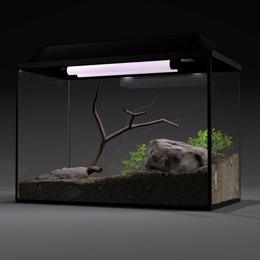 el acuario aircamp animal en experimento de pescado fixture mobiliario muebles los hogares interior laboratorio la luz modelo naturaleza las mascotas planta reptiles escuela ciencia tanque agua 3D print model - Mito3D