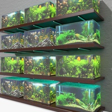 aquarium étagères animal l'aquarium art de la décoration décorative détail cher du poisson l'ameublement maison lumière litarvan luxe modèle bureau les animaux compagnie prix accessoires jeu étagère des boutique magasin le réservoir mur 3d print model - Mito3D