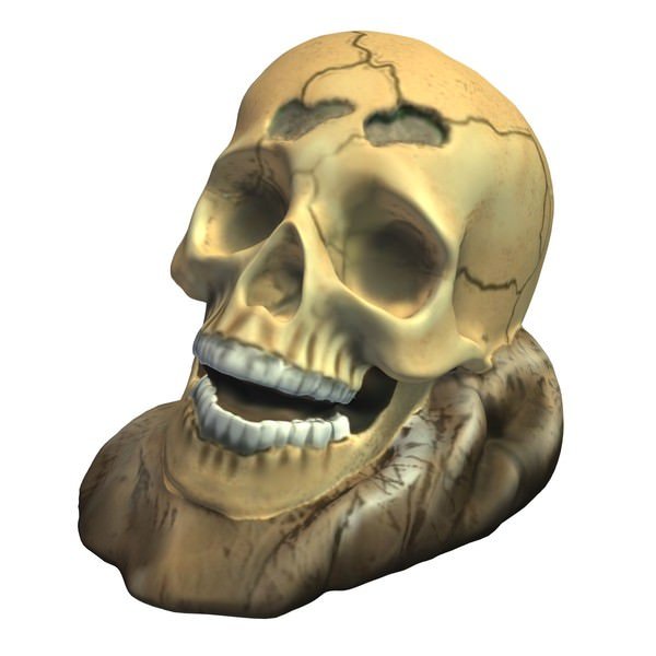 acuario cráneo v1 el de pescado acuático la vida imprimible lowpoly a acuática 3D print model - Mito3D