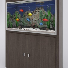 aquário de peixes tropicais 3d 3ds peixe fixação mobiliário móveis do agregado familiar interior ivanna11 luz max modelo natureza oceano mar sealife seashell shell tanque terrário tropical vray água 3d print model - Mito3D