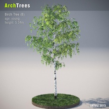 archtrees Birke b Architektur artviz die Elemente Landschaft Modell pflanze Baum 3d print model - Mito3D