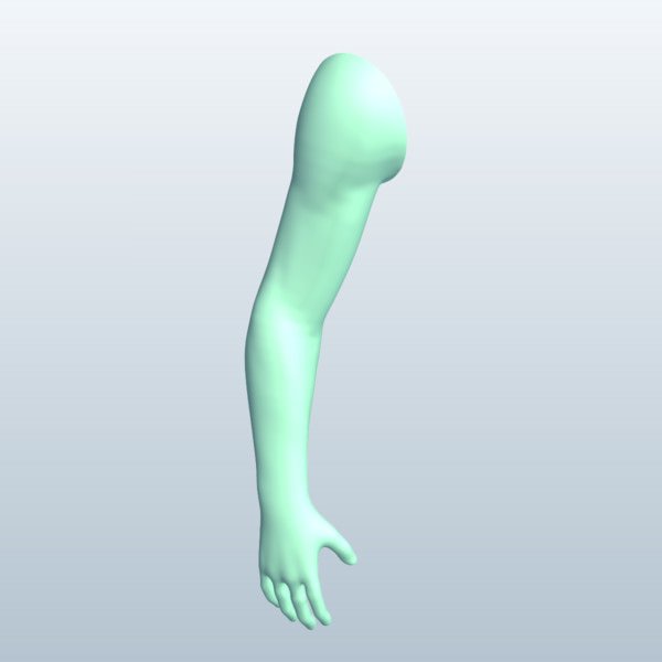 brazo v3 anatomía imprimible lowpoly 3D print model - Mito3D