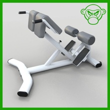 estensione schiena ab abs indietro bilanciere panchina manubri attrezzature l'esercizio fisico libero palestra monkeyodoom set con il treno peso di allenamento 3d print model - Mito3D