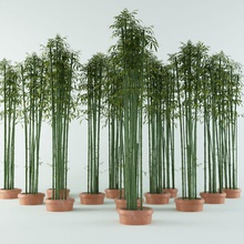 bamboo bush green bushes furnishings interior model plant tree ultar3d 3d print model - Mito3D