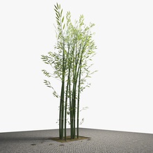 Bambus Architektur Elemente außen Modell pflanze Pflanzer Baum die vegetation zoomor8 3d print model - Mito3D