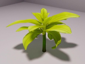 banana tree fruit peregrind plant 3d print model - Mito3D