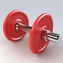 barra bell o corpo treino de musculação mudo dumbell equipamento exercício fitness ginásio modelo muscular esporte stefeu trem vray peso bem-estar 3d print model - Mito3D