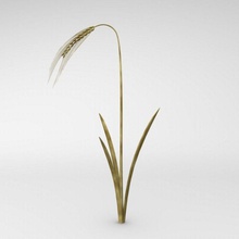 barley bescec cereal corn crop eat field food grain haver plant pop popcorn small stalk vegetable 3d print model - Mito3D