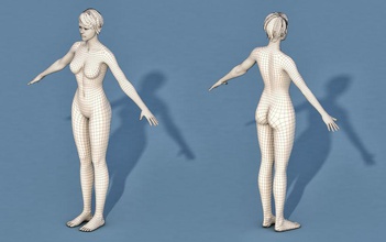 la base de personnage féminin l'anatomie blender corps caractère cinema4d femelle jeune fille l'homme dame maya maillage modèle poly sculpter thexpo thexpostudios femme 3d print model - Mito3D