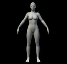 de base des femmes adulte l'anatomie la beauté corps soutien-gorge sein caractère dan335 femelle jeune fille l'homme dame maillage modèle nude pantalon jolie réaliste sexy maillot bain femme 3d print model - Mito3D