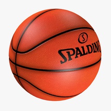 basketball 3d american balls basket champoinship ehab moris game match max model paly spalding sport team toy 3d print model - Mito3D