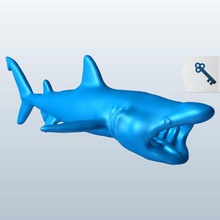 basking shark v1 Sonnen Hai Fisch aquatic Leben bedruckbar ist lowpoly Wasserorganismen 3d print model - Mito3D