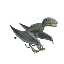 batrachognathus v1 dinozorlar yazdırılabilir lowpoly 3d print model - Mito3D