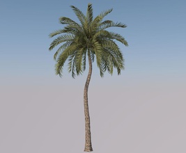 spiaggia di palme del modello 3d 4d architettura cinema elementi kizilboga palma albero 3d print model - Mito3D