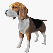 beagle dog animal beagle breed canine cat creatures dog dogo fur germes hair lower model poly rig