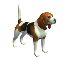 beagle-v1 beagle Tiere bedruckbar ist lowpoly 3d print model - Mito3D
