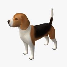 beagle animal canino perro el borde int3lig3nt loop inferior de los mamíferos modelo las mascotas poli cachorro topología 3d print model - Mito3D