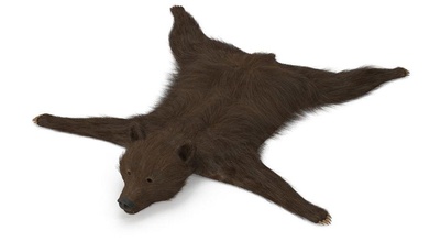 bear fur animal cafe carpet floor furnishings furniture interior jandak model rug skin 3d print model - Mito3D