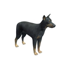 beauceron v1 animaux imprimable lowpoly 3d print model - Mito3D