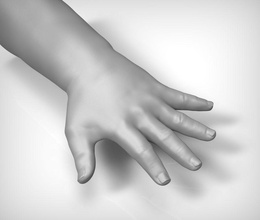 beleza mão da criança anatomia braço bebê o personagem demétrio dedo humanos kid membros do sexo masculino modelo unhas pessoas fotorrealistas prosov realista zbrush ztools 3d print model - Mito3D