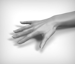 beauty woman hand models anatomy arm body character female finger girl human lady limbs model nail people photorealistic realistic zbrush ztools 3d print model - Mito3D