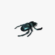 beetle low poly animal bug cartoon collection creepy egypt game garden ghost halloween holiday house insects jpwood78 lower model scarab scary skeleton spooky witch wizard 3d print model - Mito3D