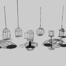 bird cages animal animation bar cage chain container coop crate creepy dream feather home house jpwood78 magic magical parrot pen pets pigeon room rope swing table twisted weird 3d print model - Mito3D