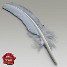 bird feather v2 3d molier 3ds alfa animal c4d featherbird fly lwo max mb model obj realistic texture vray wing xsi 3d print model - Mito3D