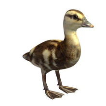 Vogel v1 die stockente Ente baby Männlich Tiere bedruckbar ist lowpoly 3d print model - Mito3D