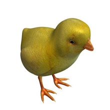Vogel v1 baby chick Tiere bedruckbar ist lowpoly 3d print model - Mito3D