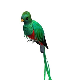 pájaro v1 resplandeciente quetzal animales imprimible lowpoly 3d print model - Mito3D