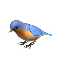 bird v1 eastern bluebird male animals printable lowpoly 3d print model - Mito3D